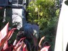 2021-11-26 to 2021-12-01 Disney Springs and Universal 118